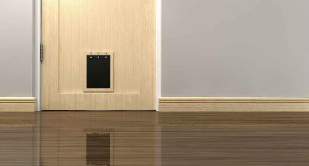 An inside view of a regular black pet flap on a light wood door surrounded by walls walls and wood skirting