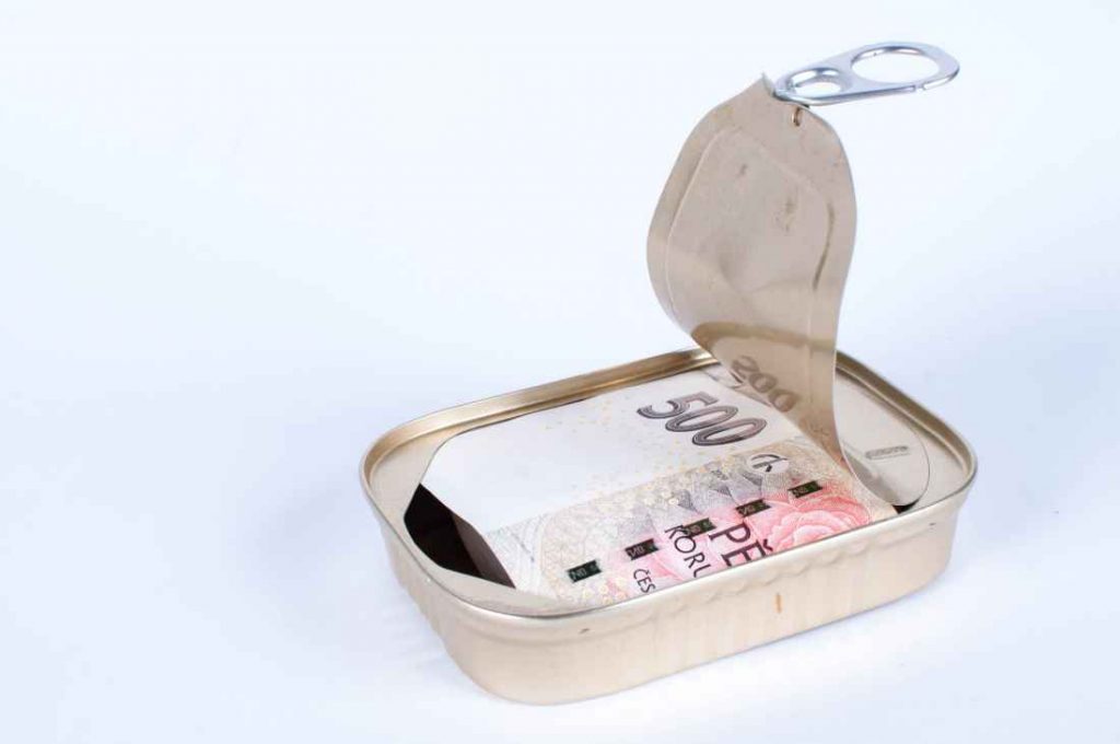Opened fish can with czech money on white background